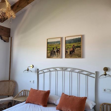 Pura Agro Vida Galizano Quarto foto